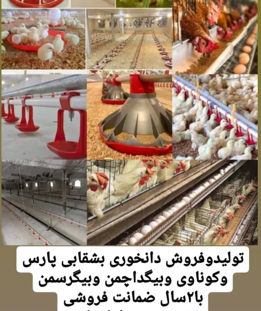 تولید تجهیزات مرغداری ایران صنعت امانخانی در قزوین